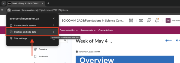 cookies and site data menu